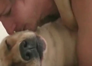 Zoo fucking with a horny doggo