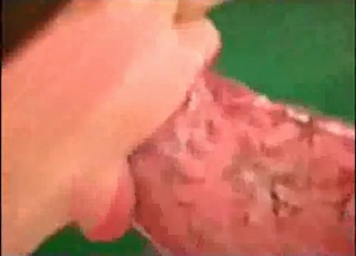 Huge dog cock sucked by a brunette