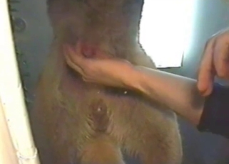 You get to see animal cock from below