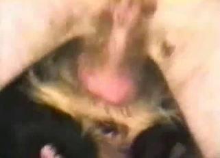 Close-up filthy fucking with an animal