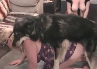 Busty MILF is obsessed with dogs