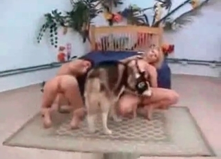 Bestiality with a beautiful zoophile slut