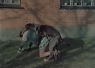 Dog enjoying outdoors fucking
