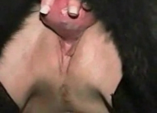 Tight pussy stretched by a huge black dog cock