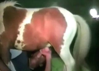 Farm animals that enjoy raw fucking