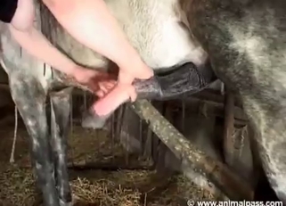 Farm-based bestiality with two zoophiles