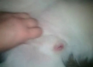 Dog is addicted to hardcore bestiality