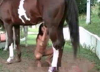 Lanky zoophile chick enjoying horse cock